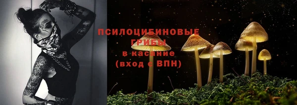 твердый Мегион
