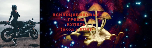 твердый Мегион