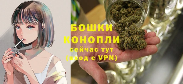 твердый Мегион