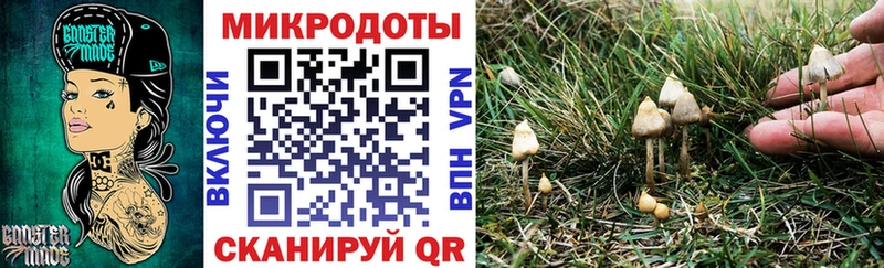 Галлюциногенные грибы мицелий Чекалин